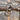 Brown Antique Indian Doors | Bazaa | Designer, Vintage and Antique Furniture
