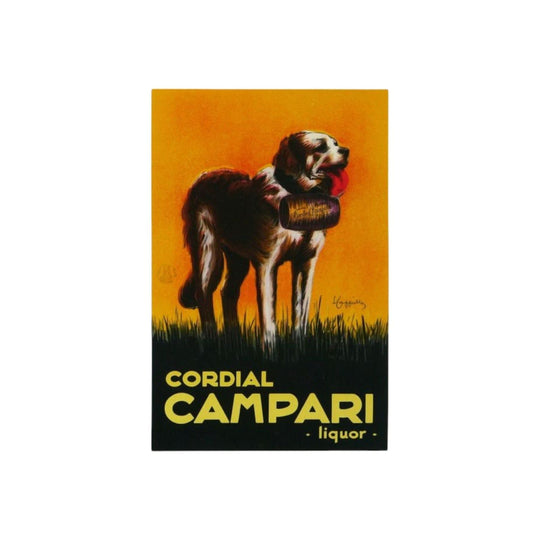 Campari Liquor Le Saint Bernard
