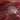 Circa 1960 Italian Mid-Century Art Glass Star or Orchid Bowl in Pink Cranberry Glass. B12272 | Bazaa | Designer, Vintage and Antique Furniture
