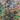 Claude Monet A Corner in the Garden at Montgeron print in gilt frame. B13024 | Bazaa | Designer, Vintage and Antique Furniture