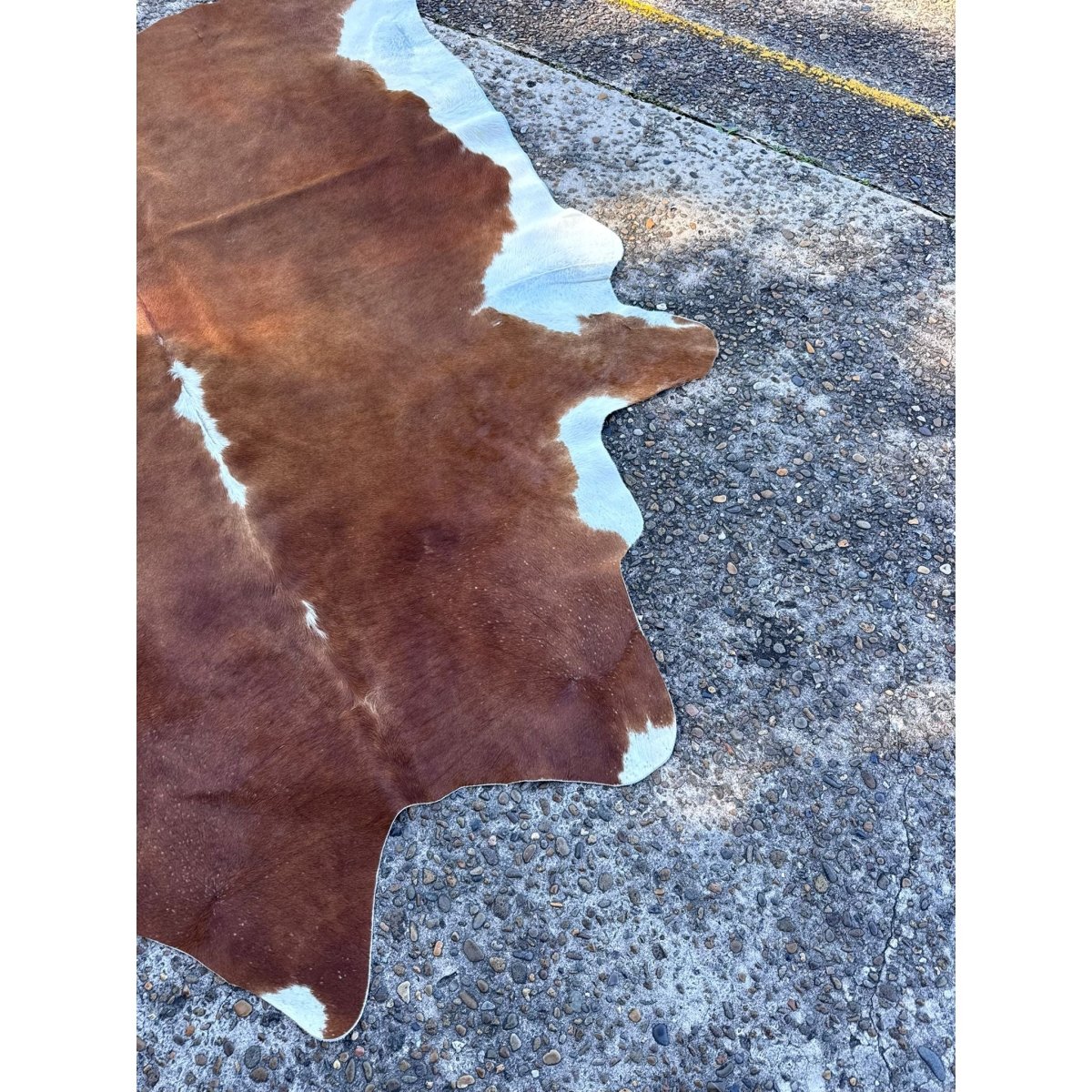 Cowhide Rug Brown White Natural Hide Large Premium Soft Floor Decor | Bazaa | Designer, Vintage and Antique Furniture