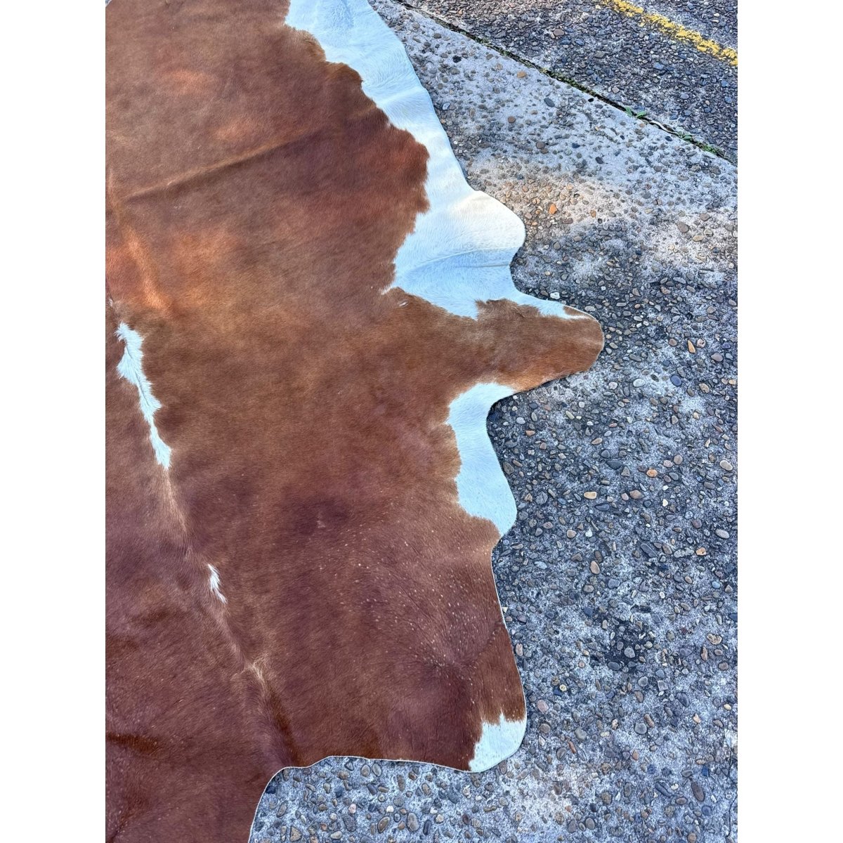Cowhide Rug Brown White Natural Hide Large Premium Soft Floor Decor | Bazaa | Designer, Vintage and Antique Furniture