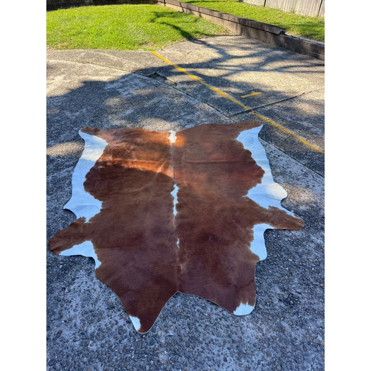 Cowhide Rug Brown White Natural Hide Large Premium Soft Floor Decor | Bazaa | Designer, Vintage and Antique Furniture