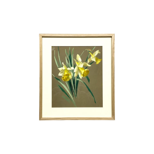 Daffodil watercolour