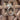 Dark Carved Indian Teak Door | Bazaa | Designer, Vintage and Antique Furniture
