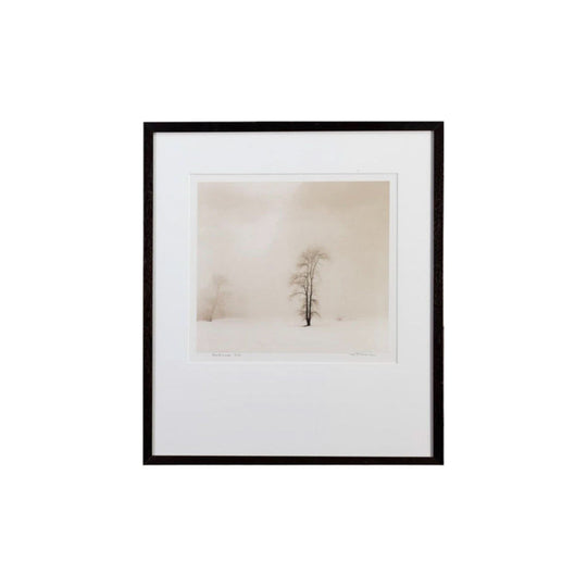 Dusk by Tim Robinson