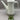 Figgjo / Figgio Norway 'Brazil' Teapot / Coffee Pot - Bazaa