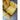 Fler Yellow Velvet Single Lounge Chair | Bazaa | Designer, Vintage and Antique Furniture