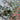 Framed Claude Monet The Parc Monceau print with gilt frame. B13023 | Bazaa | Designer, Vintage and Antique Furniture