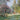 Framed Claude Monet The Parc Monceau print with gilt frame. B13023 | Bazaa | Designer, Vintage and Antique Furniture