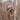 Green Vintage Rajasthan Door | Bazaa | Designer, Vintage and Antique Furniture