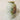 Hand painted Vintage Floral Vase / Bavaria Tirschenreuth Vase Germany golden edged Vase Hand painted Vintage Floral Vase - Bazaa