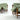 Jean Gillon Brazilian Rodeio Lounge Chairs | Bazaa | Designer, Vintage and Antique Furniture