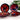 John Eagle, Australian Pottery, Four High Gloss Pottery Bowls - Bazaa