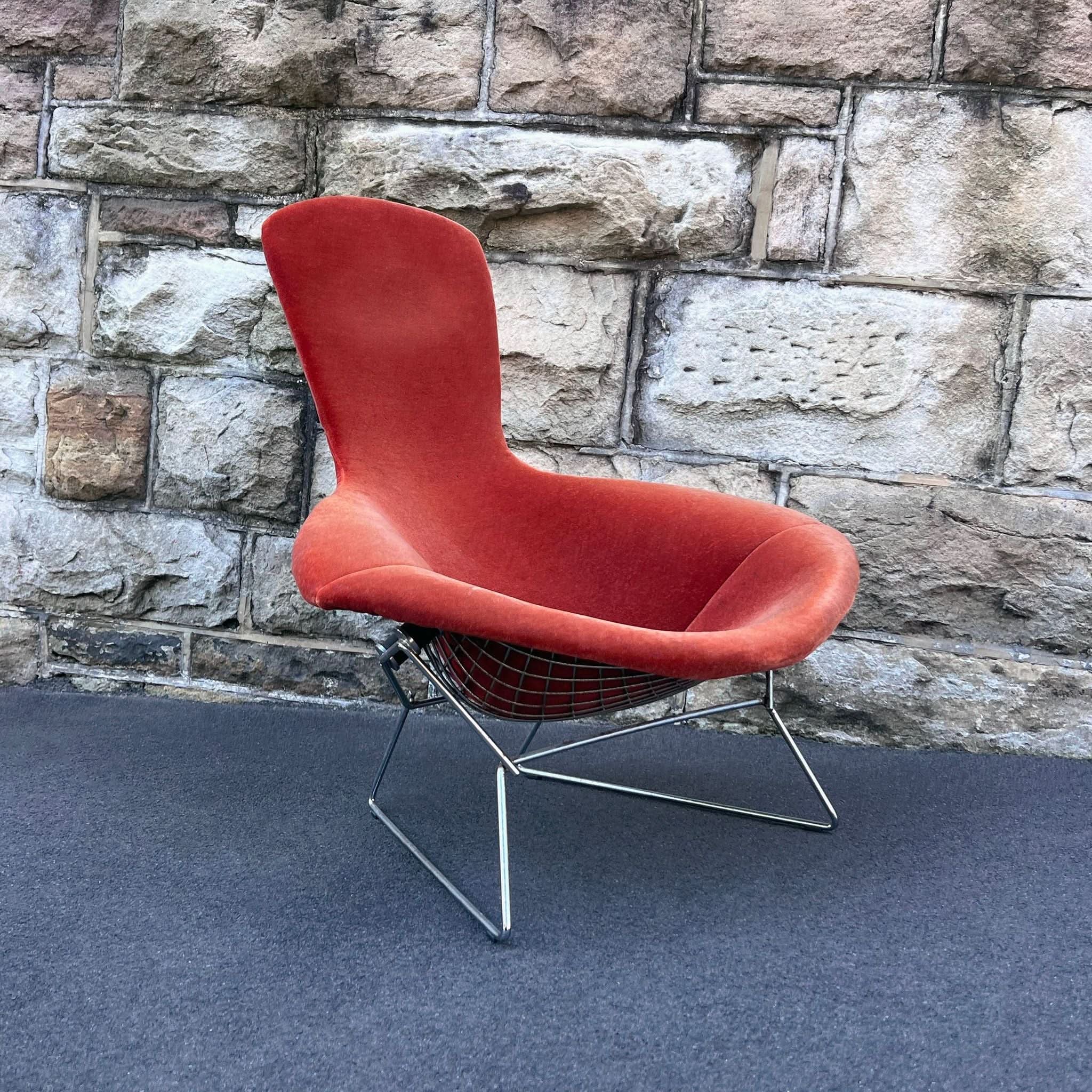 ヴィンテージ Knoll Bertoia Bird Chair ZR24566 Shop Knoll Bertoia Bird Chair | Bazaa