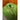 Large Bordallo Pinheiro Capsicum Canister – Portugal | Bazaa | Designer, Vintage and Antique Furniture