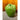Large Bordallo Pinheiro Capsicum Canister – Portugal | Bazaa | Designer, Vintage and Antique Furniture