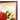 Large Contemporary Street Scene With Flame Tree Oil On Canvas Painting | Bazaa | Designer, Vintage and Antique Furniture