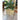 Large Fleur-de-lis Square Resin Planters Pair with Agave Plants | Bazaa | Designer, Vintage and Antique Furniture