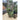 Large green glazed planter & large jade plant | Bazaa | Designer, Vintage and Antique Furniture