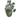 Large green glazed planter & large jade plant | Bazaa | Designer, Vintage and Antique Furniture
