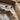 Light Brown Antique Indian Door | Bazaa | Designer, Vintage and Antique Furniture