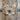 Light Brown Antique Indian Door | Bazaa | Designer, Vintage and Antique Furniture