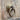 Light Brown Antique Indian Door | Bazaa | Designer, Vintage and Antique Furniture