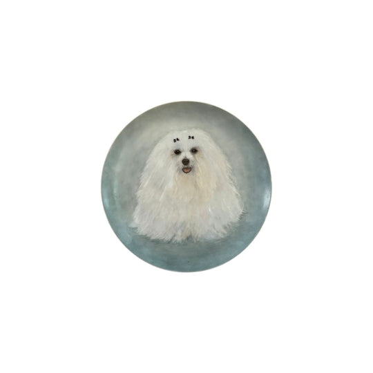 Maltese Dog Decorated Plate