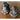Mid Century Goebel Condiment Set | Bazaa | Designer, Vintage and Antique Furniture