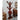 Mid Victorian Mahogany Tree Shaped Hall Stand | Bazaa | Designer, Vintage and Antique Furniture