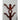 Mid Victorian Mahogany Tree Shaped Hall Stand | Bazaa | Designer, Vintage and Antique Furniture