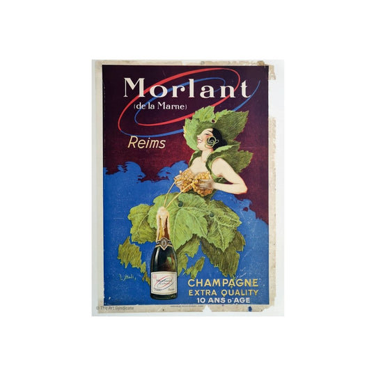 Morlant Champagne
