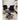 New Eames Replica Heavy Duty Quality Executive Management Chair Full Black Powdercoated Edition 5 Year Gas Warranty | Bazaa | Designer, Vintage and Antique Furniture