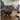 Original Pierre Jeanneret Coffee table Teak | Bazaa | Designer, Vintage and Antique Furniture