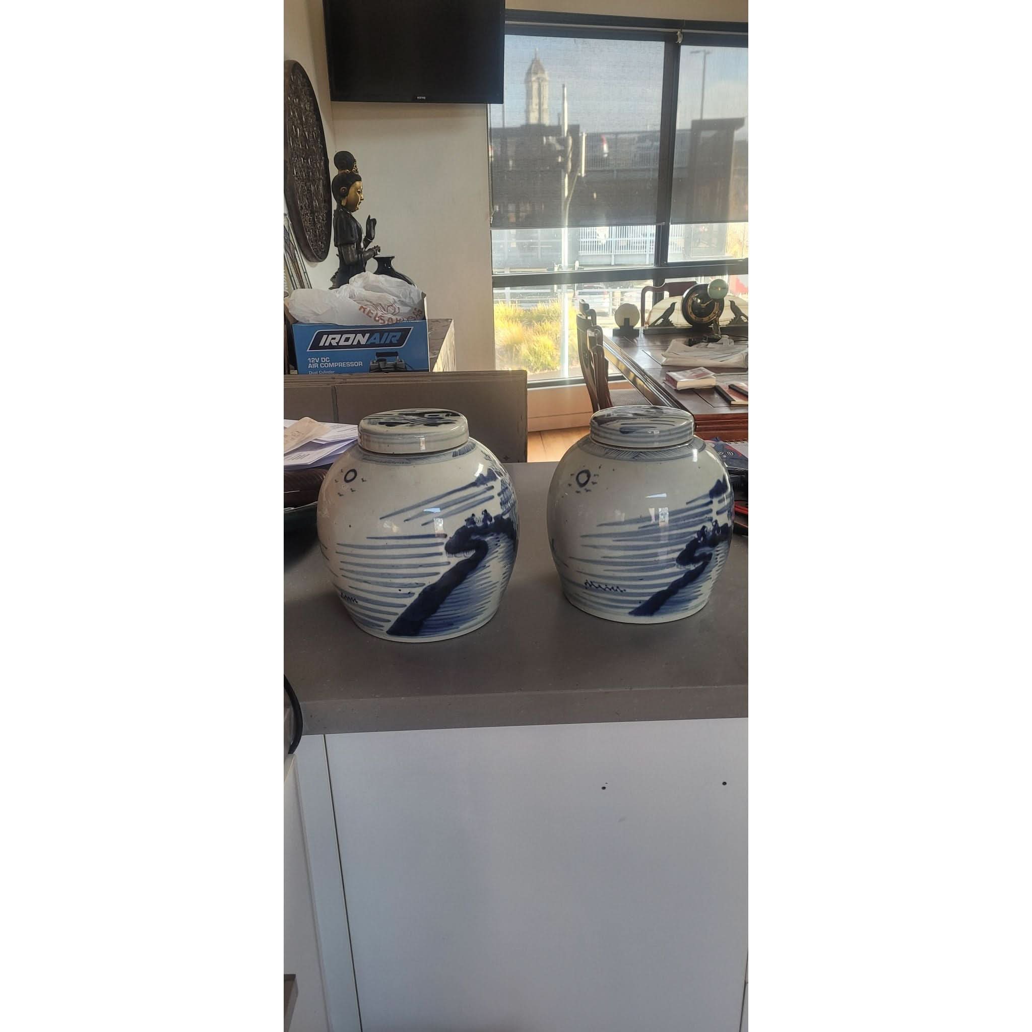 Shop Pair blue & white ginger jars | Bazaa