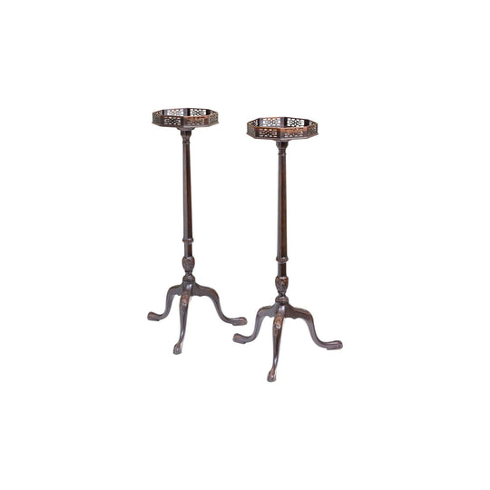 Pair of Mahogany Chippendale Style Fern Stands