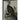 Pair of Vintage Framed Bird Prints after John Gould – Goshawk and Cormorant, Green Matting, Gilt-Finish Frames | Bazaa | Designer, Vintage and Antique Furniture
