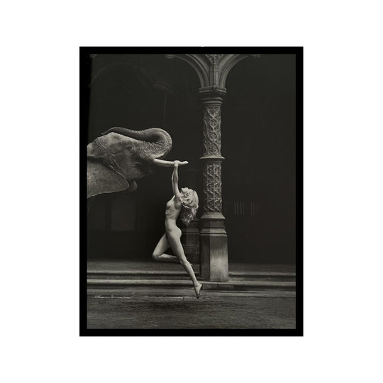 Photographic Print "Tusk" by Marc Lagrange
