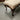 [Product Title] | Antique & Vintage | Moonee Ponds Antiques Melbourne