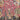 [Product Title] | Antique & Vintage | Moonee Ponds Antiques Melbourne