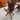 [Product Title] | Antique & Vintage | Moonee Ponds Antiques Melbourne