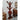 Mid Victorian Mahogany Tree Shaped Hall Stand | Antique & Vintage | Moonee Ponds Antiques | Australia Wide Delivery