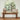 Rustic Recycled Teak Wood Bench | Bazaa | Designer, Vintage and Antique Furniture