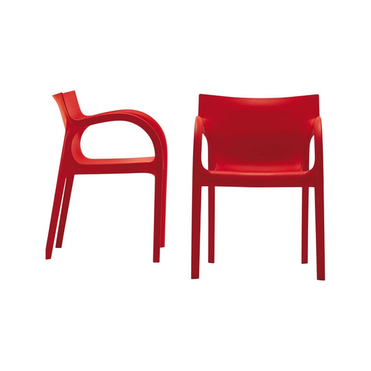 Segis Poppy Star - Red