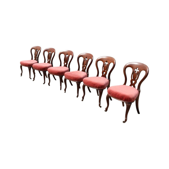Set 6 blackwood dining chairs