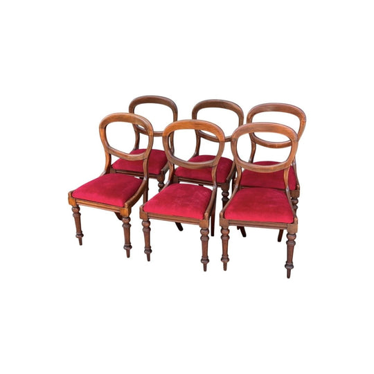 Set of 6 Australian Cedar balloon back chairs