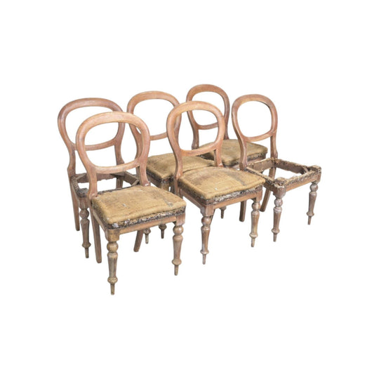 Set of 6 Australian Cedar balloon back dining chairs, in need of restoration, c. 1860
