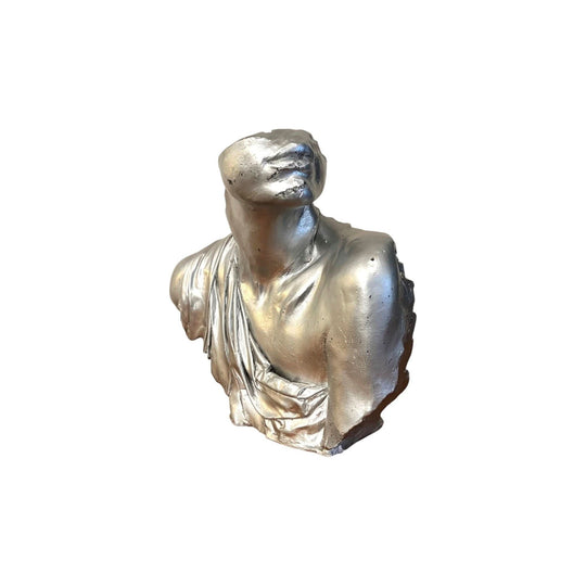 Silver Plaster Bust