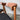 Six Thomas Harlev Model 210 Dining Chairs for Farstrup Møbelfabrik | Bazaa | Designer, Vintage and Antique Furniture